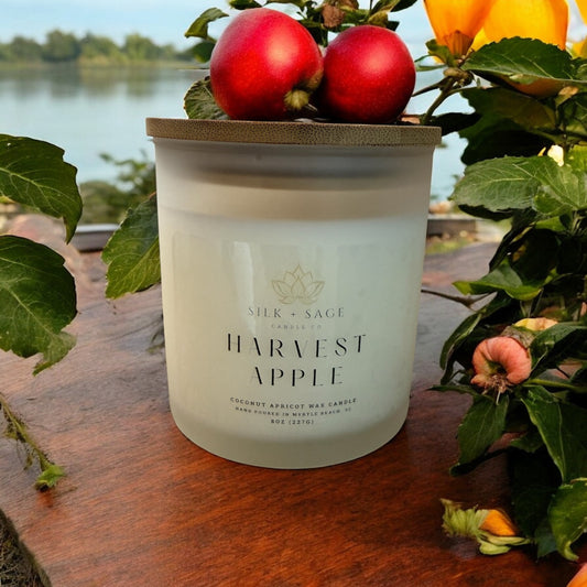 Harvest Apple 8oz Candle